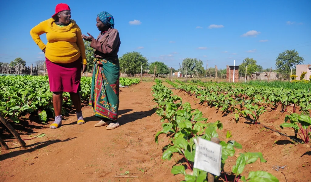 Tough Times Ahead For SA Farmers - African Times